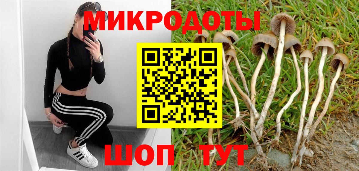 Псилоцибиновые грибы Cubensis Богородицк