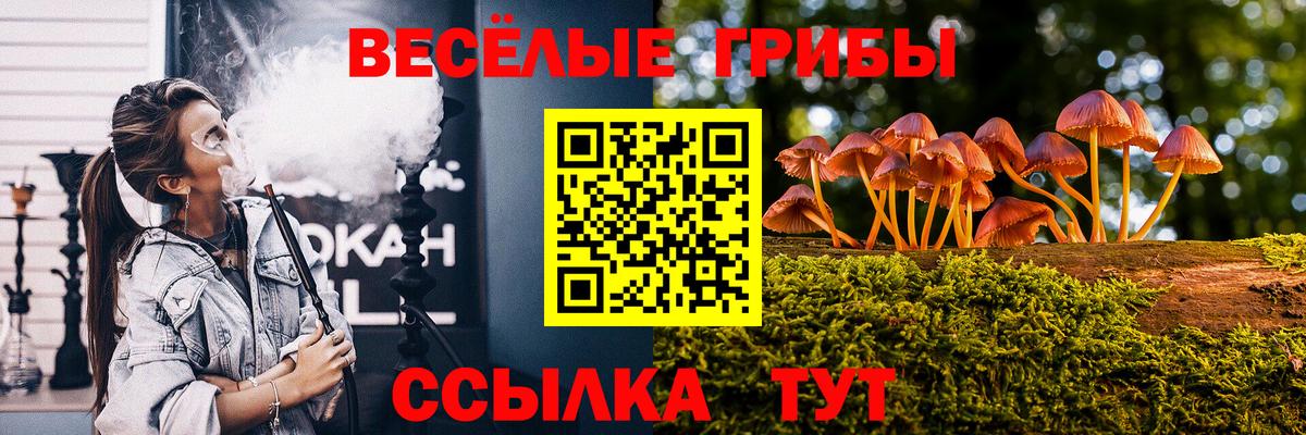 Богородицк  Галлюциногенные грибы Psilocybine cubensis  Вход с VPN 